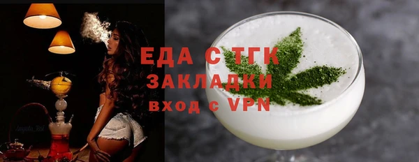 индика Балахна