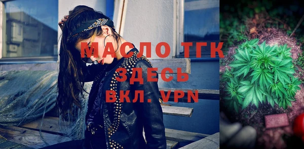 индика Балахна