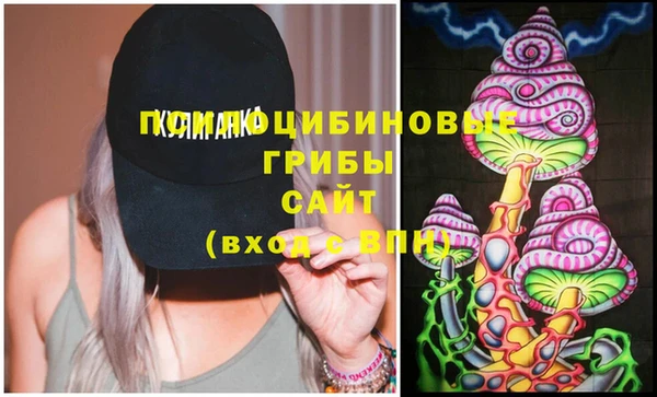 стафф Баксан
