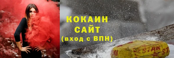 индика Балахна