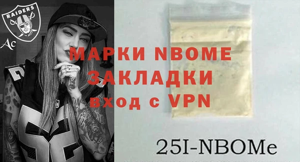 индика Балахна