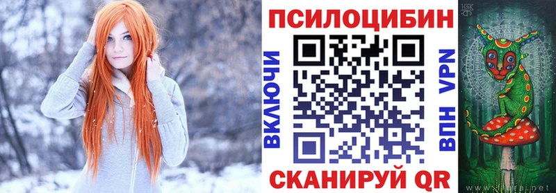закладки  Чкаловск  Галлюциногенные грибы мухоморы 